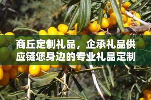 商丘定制礼品，企承礼品供应链您身边的专业礼品定制公司