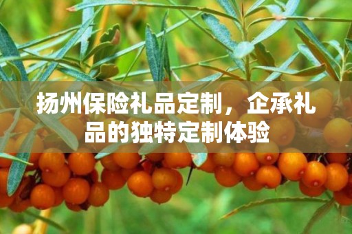 扬州保险礼品定制，企承礼品的独特定制体验